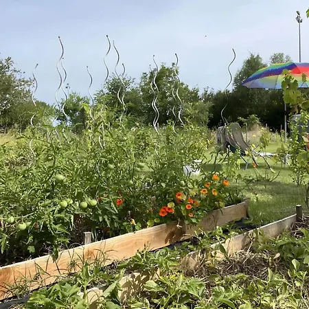 住宿加早餐酒店 D'hote Leontine